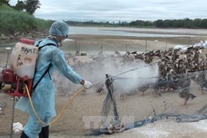 H7N9禽流感疫情防控工作视频会议